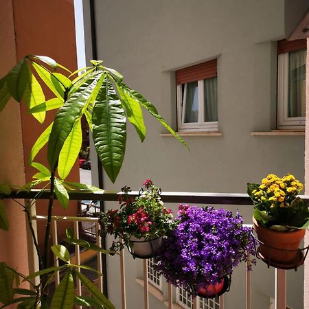 Apuleio 11 Apartment Rome Bagian luar foto