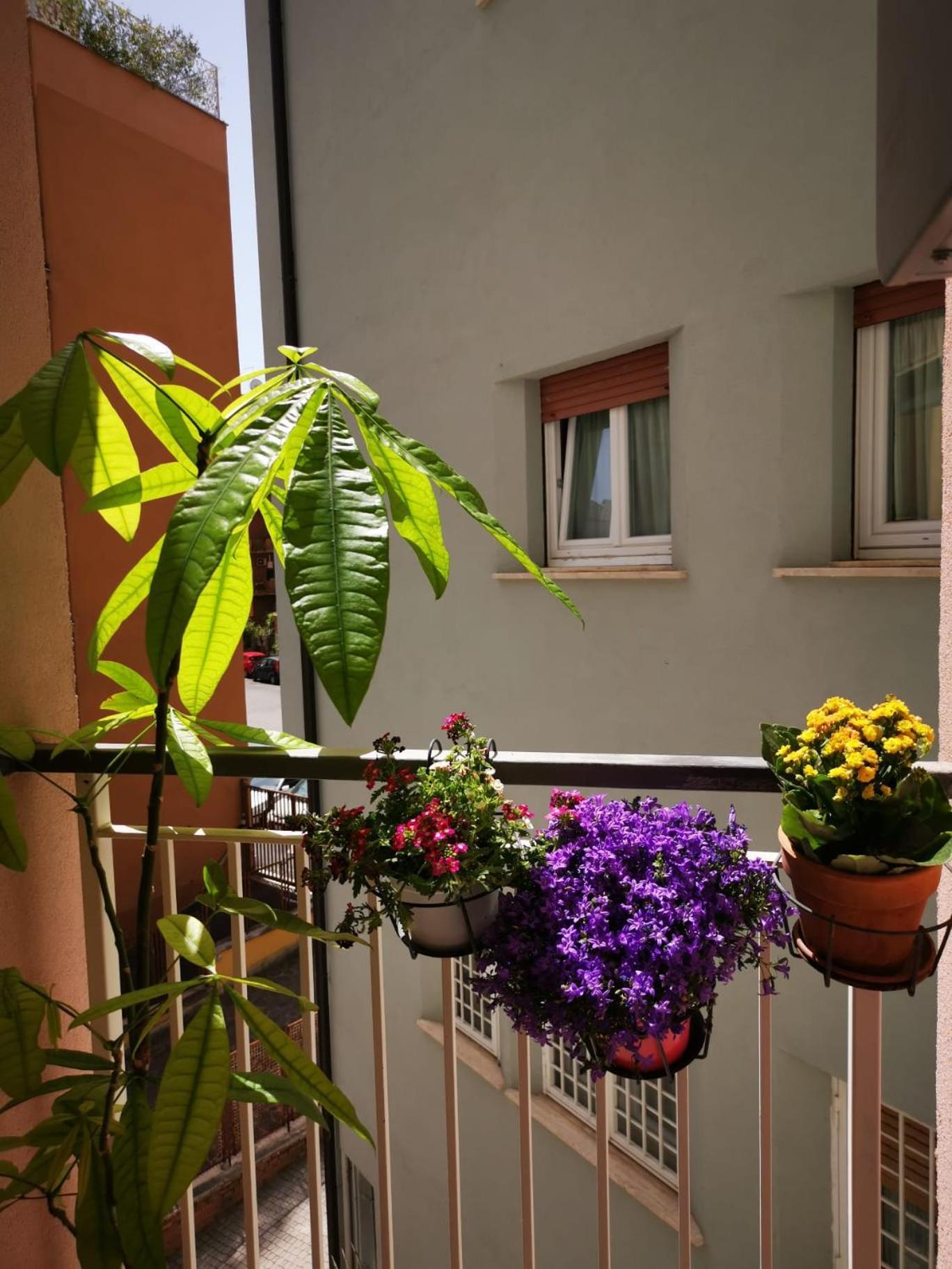 Apuleio 11 Apartment Rome Bagian luar foto